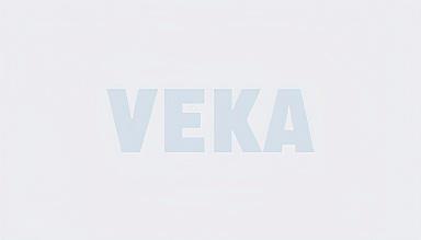 Технология каркасного домостроения в России: от проекта до готового домокомлекта с окнами VEKA